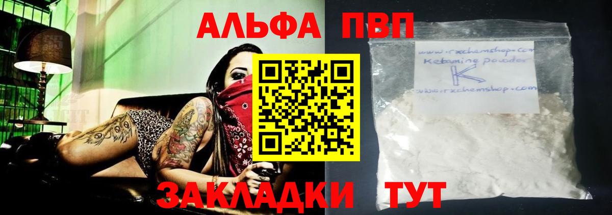 A PVP СК КРИС Новодвинск